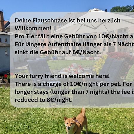 F4 - Urlaubsmagie - Grosse Wohnung Fuer Bis Zu 10 Personen Sebnitz Exterior foto