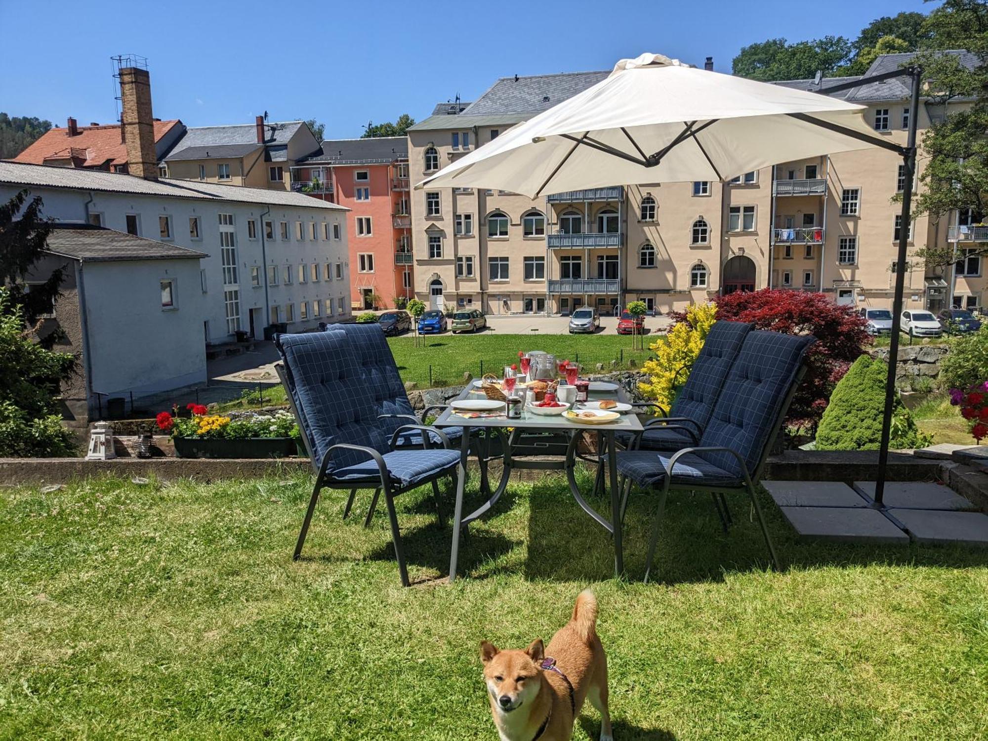 F4 - Urlaubsmagie - Grosse Wohnung Fuer Bis Zu 10 Personen Sebnitz Exterior foto