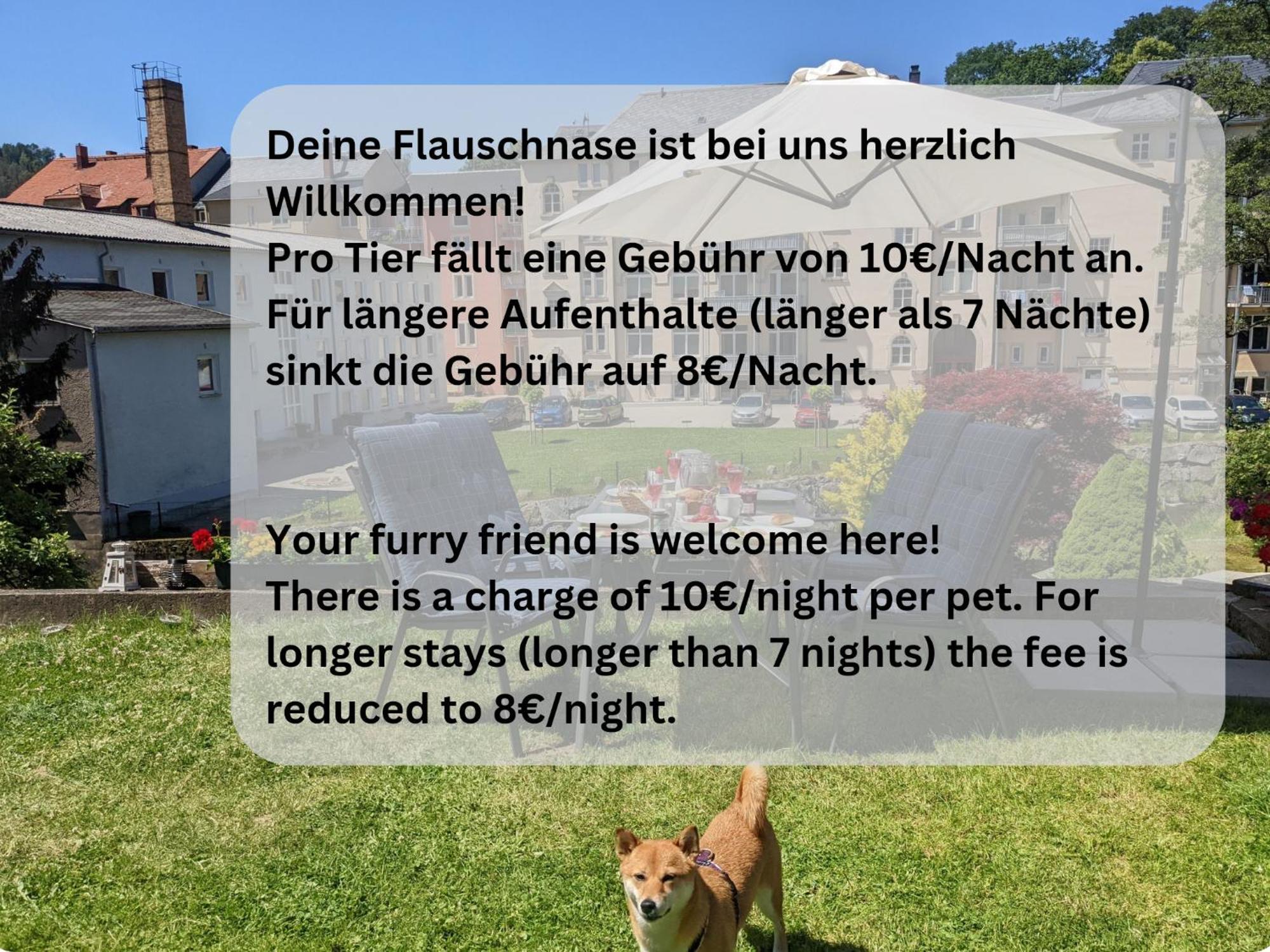 F4 - Urlaubsmagie - Grosse Wohnung Fuer Bis Zu 10 Personen Sebnitz Exterior foto
